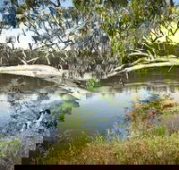 Murray Valley National Park - Attractions Brisbane