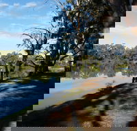 Murray River National Park - Katarapko - Attractions Brisbane