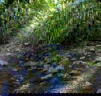 Nambucca Valley - Attractions Brisbane
