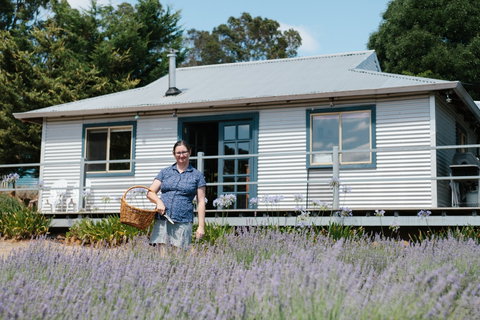 Nannup Lavender Farm - Attractions Brisbane 1