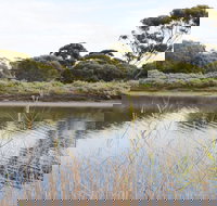 Onkaparinga River Recreation Park - Attractions Brisbane