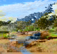 Owen  Hamley Bridge - Attractions Brisbane
