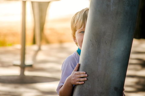 Pialba - Attractions Brisbane 2