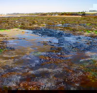 Point Danger Marine Sanctuary - Attractions Brisbane