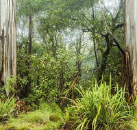 River walking track - Attractions Brisbane