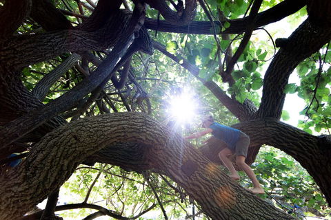 Scarborough Beach Park - Attractions Brisbane 0