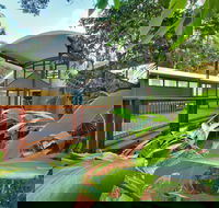 Sea Acres Rainforest Centre - Attractions Brisbane