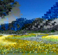 Shearer's Way - Attractions Brisbane