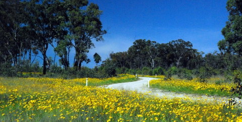 Shearer's Way - Attractions Brisbane 0