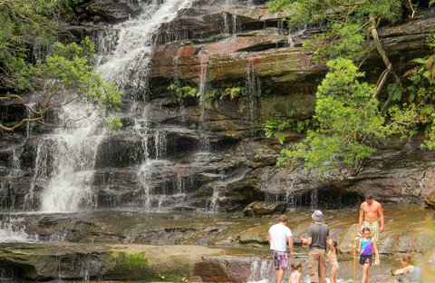 Somersby Falls Picnic Area - Attractions Brisbane 0
