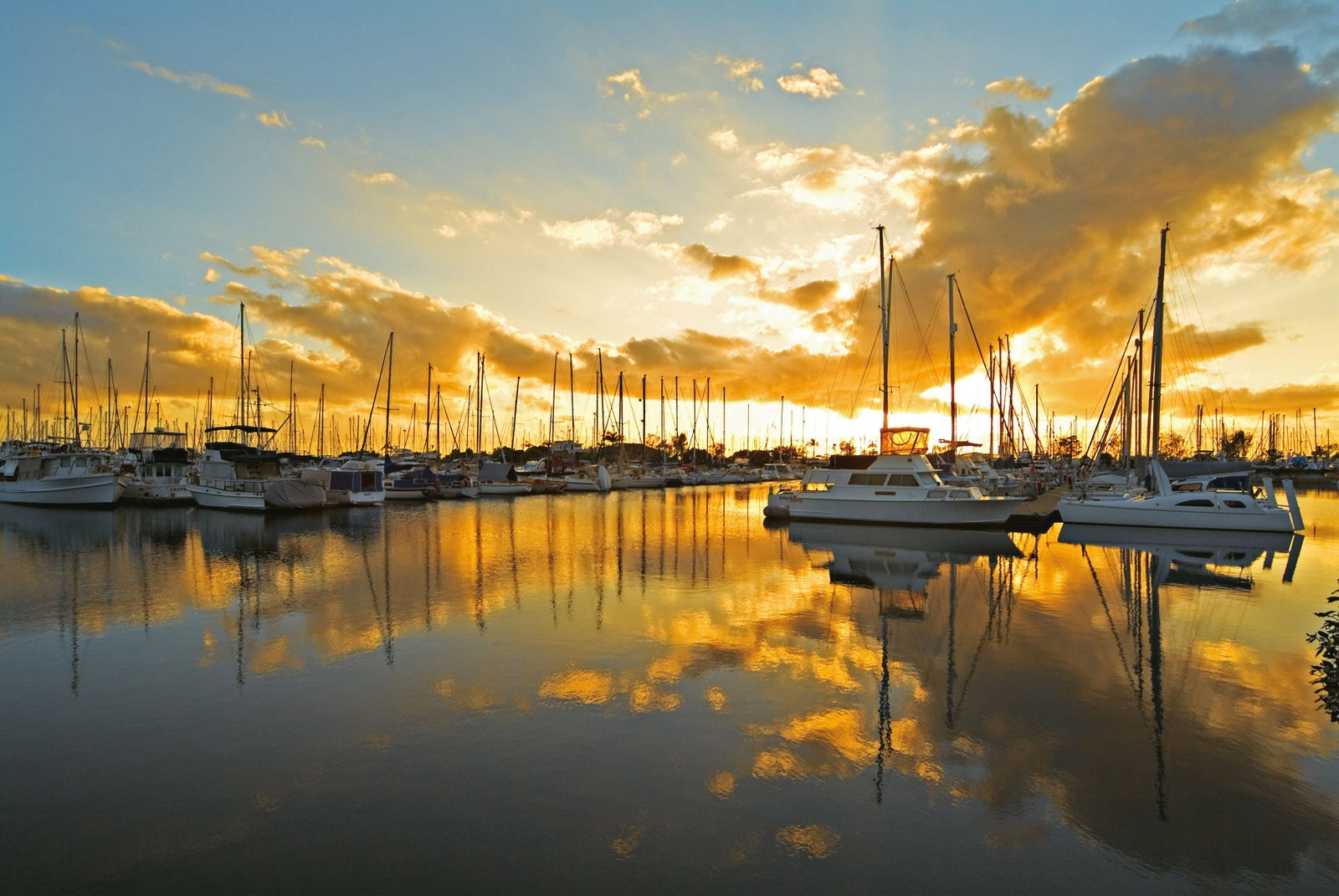 Attractions Brisbane