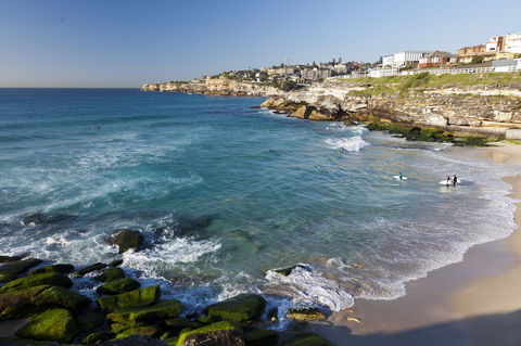 Tamarama Beach - Attractions Brisbane 1