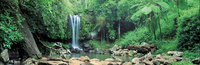 Tamborine National Park