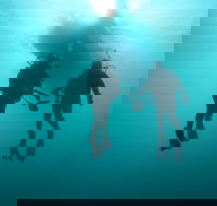 The Arches Marine Sanctuary - Attractions Brisbane