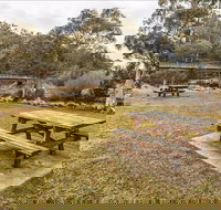 Thredbo River picnic area - Attractions Brisbane