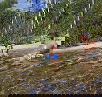 Tjaynera Falls Sandy Creek - Attractions Brisbane