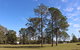 Tully Memorial Park - thumb 2
