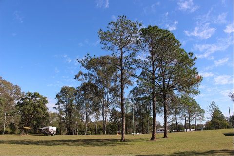 Tully Memorial Park - Attractions Brisbane 2