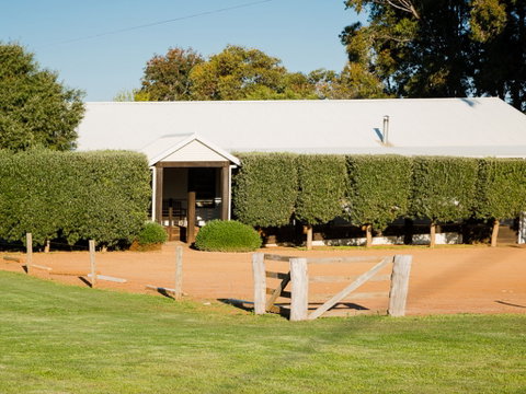 Vasse Virgin - Attractions Brisbane 1