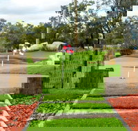 Vines Mini Golf - Attractions Brisbane