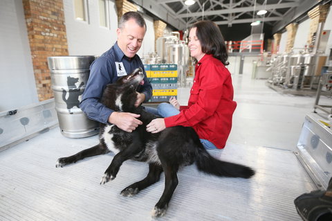 Visit Bucket Brewery - Attractions Brisbane 2