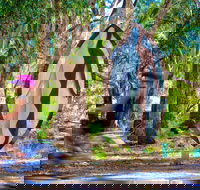 Wagirra Trail and Yindyamarra Sculpture Walk - Attractions Brisbane