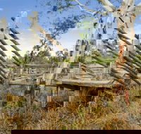 Wandoan - Attractions Brisbane