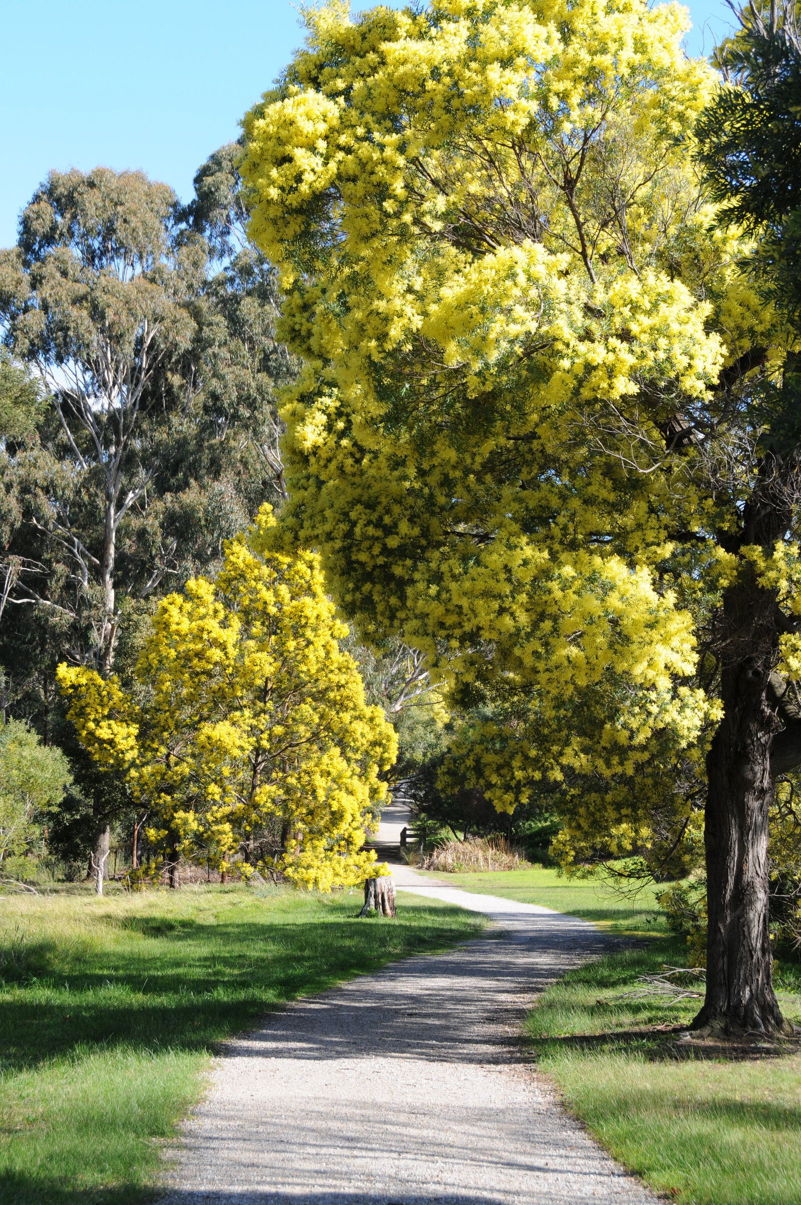 Burwood East VIC Attractions Brisbane