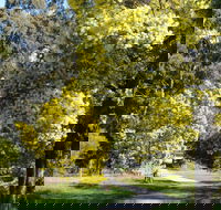 Wattle Park - Attractions Brisbane