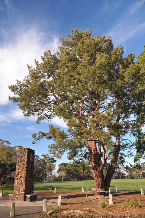 Wattle Park - Attractions Brisbane 2