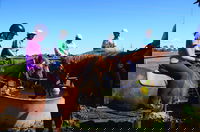 Western Plains Riding Centre - Open