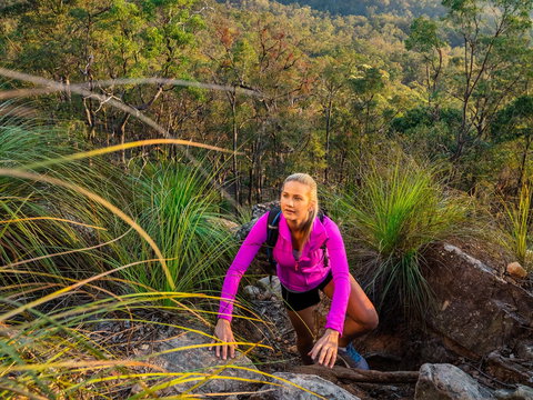 White Rock - Spring Mountain Conservation Estate - Attractions Brisbane 2