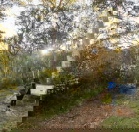 Yarrangobilly Caves  River walk - Attractions Brisbane