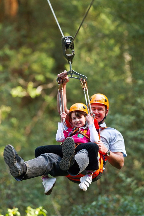 Zipline At Illawarra Fly - Attractions Brisbane 0