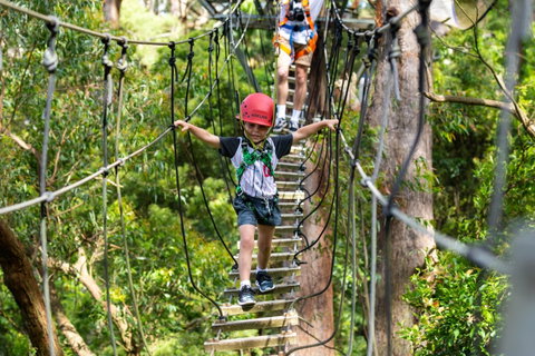 Zipline At Illawarra Fly - Attractions Brisbane 1