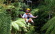 Zipline At Illawarra Fly - thumb 2