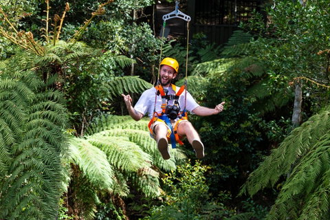 Zipline At Illawarra Fly - Attractions Brisbane 2