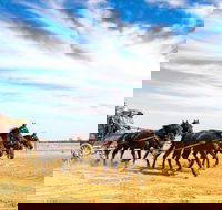 7 Day Outback Giants - Attractions Brisbane