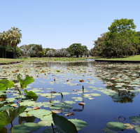 Anderson Park Botanic Gardens - Attractions Brisbane