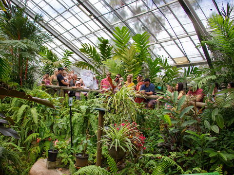 Australian Butterfly Sanctuary - Attractions Brisbane 2