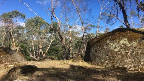 Bailey's Rocks - Dergholm State Park - Attractions Brisbane 0