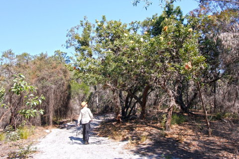 Banksia Track, Burrum Coast National Park - Attractions Brisbane 1