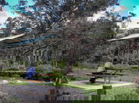 Barrington Tops State Forest