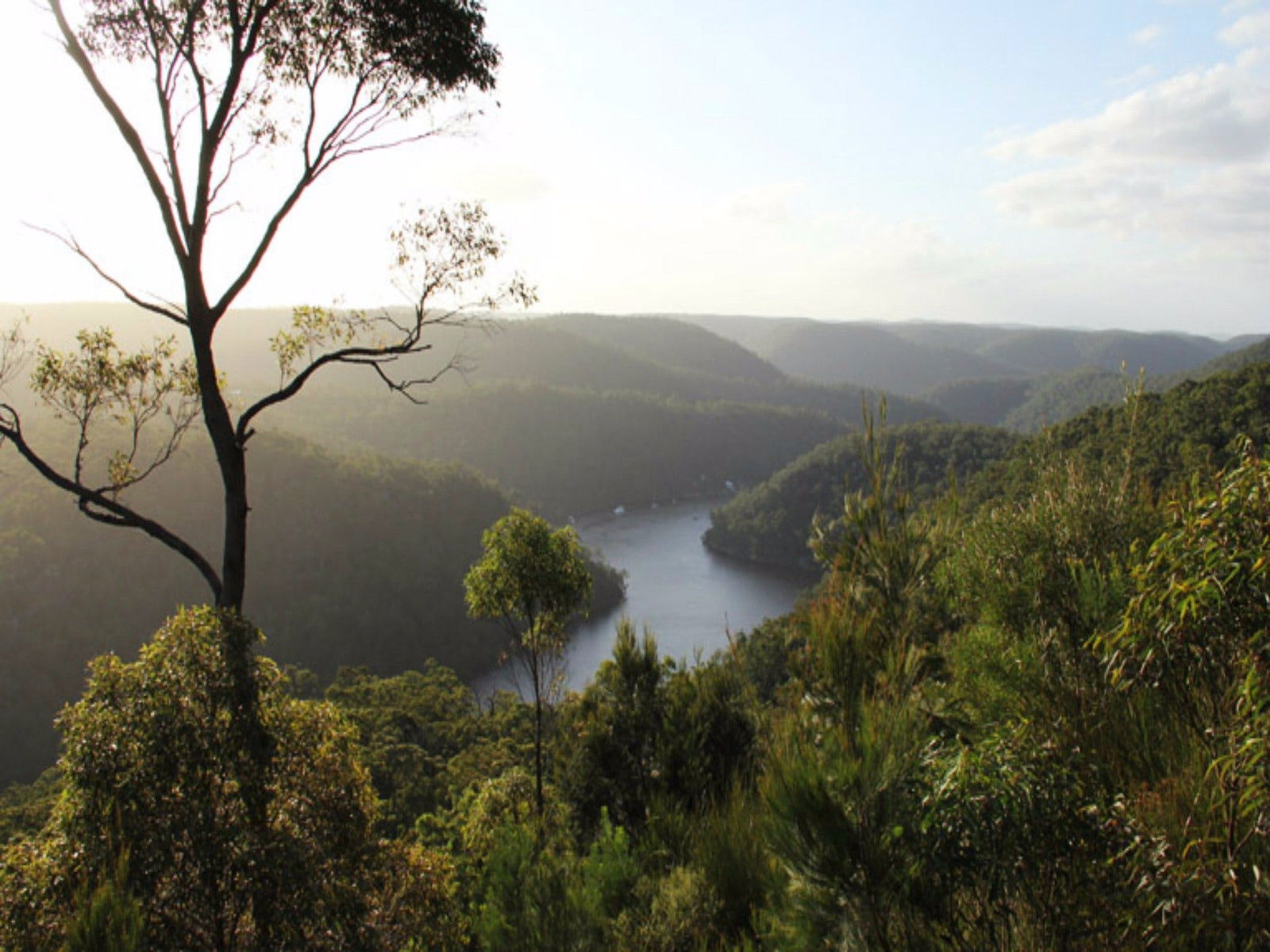 Thornleigh NSW Attractions Brisbane