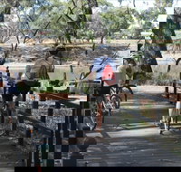 Bidgee Riverside Trail  - Hay Nature Walk - Attractions Brisbane