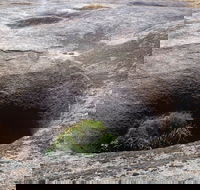 Blowhole and the Rocks - Attractions Brisbane