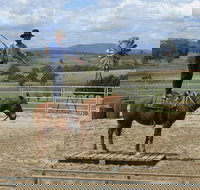 Boggy Creek Show - Attractions Brisbane