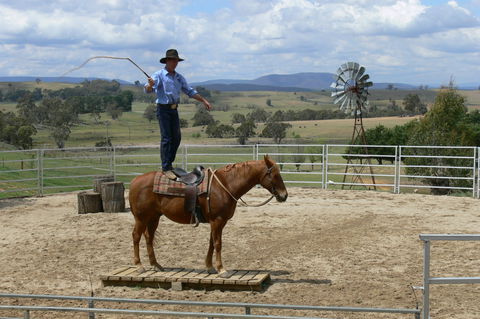 Boggy Creek Show - Attractions Brisbane 0