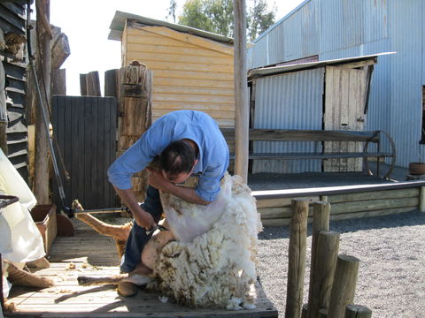 Boggy Creek Show - Attractions Brisbane 2