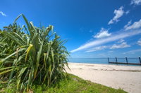 Bongaree Walkabout